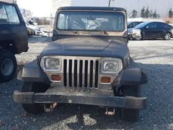 Schwarz Gebraucht 1991 Jeep Wrangler SUV | 6.000 €
