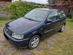 Blau Gebraucht 1997 VW Polo Limousine | 2.150 € (Etwas zu teuer)