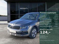 Grau Neu 2025 Skoda Kamiq Tour SUV | 26.590 € (Etwas zu teuer)