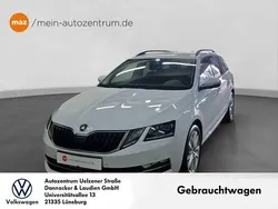 Moonweiss Gebraucht 2020 Skoda Octavia Style Kombi | 20.970 € (Etwas zu teuer)
