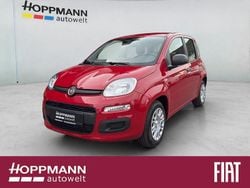 Rot Neu 2025 Fiat Panda Pop Limousine | 14.990 € (Fairer Preis)