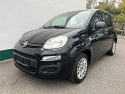 Schwarz Gebraucht 2019 Fiat Panda Easy Kleinwagen | 8.950 € (Fairer Preis)