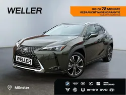 Gruen Gebraucht 2024 Lexus UX 300h Executive Line SUV | 32.990 €
