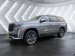 Grau Gebraucht 2023 Cadillac Escalade SUV | 132.505 €