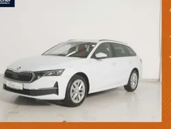 Weiss Gebraucht 2024 Skoda Octavia Selection Kombi | 31.940 € (Superpreis)