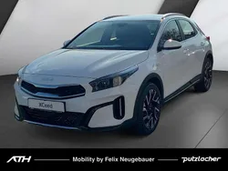 Casa white Neu 2025 Kia XCeed Comfort SUV | 25.800 € (Fairer Preis)