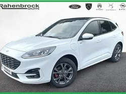 Frozen white (weiß) Gebraucht 2022 Ford Kuga ST-Line SUV | 25.990 € (Guter Preis)