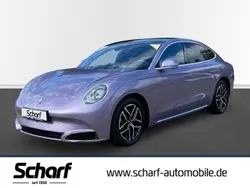 Violett Neu 2025 Ora 07 Limousine | 34.897 € (Fairer Preis)