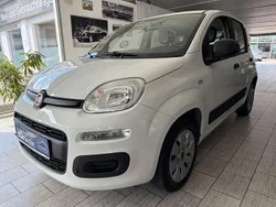 Weiß Gebraucht 2016 Fiat Panda Easy Kleinwagen | 8.899 € (Etwas zu teuer)