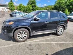 Schwarz Gebraucht 2010 Kia Sorento Spirit SUV | 6.999 € (Etwas zu teuer)