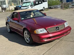 Rot Gebraucht 2001 Mercedes SL500 AMG Cabrio | 12.999 €