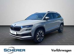 Stahlgrau Neu 2025 Skoda Karoq Tour SUV | 38.890 € (Teuer)