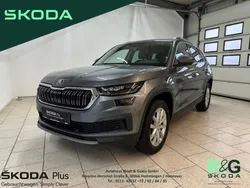 Grau Gebraucht 2023 Skoda Kodiaq Style SUV | 33.490 € (Guter Preis)
