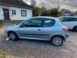 Andere farben Gebraucht 2004 Peugeot 206 Kleinwagen | 1.750 € (Fairer Preis)