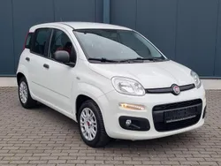 Weiß Gebraucht 2017 Fiat Panda Kleinwagen | 5.550 € (Fairer Preis)