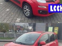 Gebraucht 2017 Fiat Panda Lounge Kombi | 5.500 € (Guter Preis)