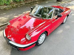 Rot Gebraucht 1988 Alfa Romeo Spider Cabrio | 17.800 €