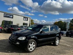 Schwarz Gebraucht 2002 Mercedes ML400 SUV | 6.990 € (Etwas zu teuer)