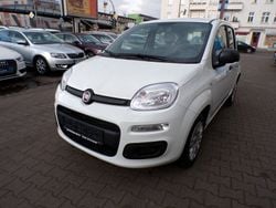 Weiß Gebraucht 2020 Fiat Panda Easy Kleinwagen | 8.990 € (Guter Preis)