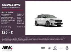 Weiß Neu 2025 Skoda Fabia Monte Carlo Limousine | 26.150 € (Etwas zu teuer)