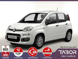 Weiß Neu 2025 Fiat Panda Kleinwagen | 13.748 € (Guter Preis)
