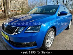 Blau Gebraucht 2017 Skoda Octavia Drive Limousine | 16.999 € (Fairer Preis)