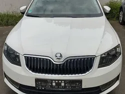Weiß Gebraucht 2013 Skoda Octavia Elegance Kombi | 8.900 € (Superpreis)