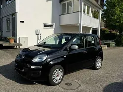 Schwarz Gebraucht 2020 Fiat Panda Urban Kleinwagen | 9.990 € (Fairer Preis)