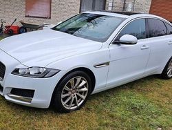 Weiß Gebraucht 2017 Jaguar XF Limousine | 7.990 €