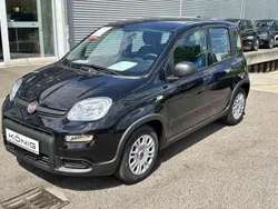 Schwarz Gebraucht 2024 Fiat Panda Kleinwagen | 14.389 € (Fairer Preis)