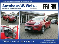 Rot Neu 2024 Fiat Panda Kleinwagen | 15.500 € (Fairer Preis)