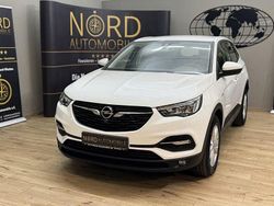 Jade weiß Gebraucht 2022 Opel Grandland X Business SUV | 15.799 € (Superpreis)