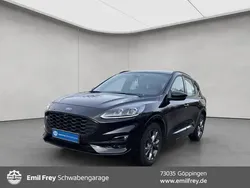 Schwarz Gebraucht 2023 Ford Kuga ST-Line SUV | 25.370 € (Superpreis)