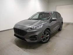 Grau Gebraucht 2024 Ford Kuga ST-Line X SUV | 25.480 € (Guter Preis)