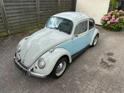 Grau Gebraucht 1965 VW Käfer Kleinwagen | 13.850 €