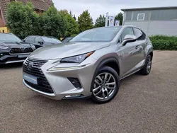 Titaniumsilber Gebraucht 2021 Lexus NX300h E-FOUR Executive Line SUV | 35.990 € (Etwas zu teuer)