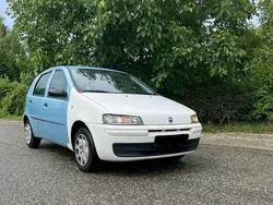 Blau Gebraucht 2000 Fiat Punto Kleinwagen | 600 € (Guter Preis)