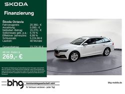 Candyweiß Gebraucht 2022 Skoda Octavia Ambition Kombi | 20.360 € (Guter Preis)