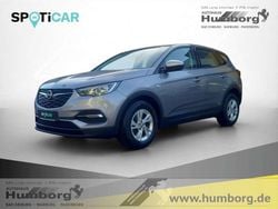 Grau Gebraucht 2018 Opel Grandland X Selection SUV | 11.490 € (Teuer)