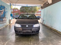 Grau Gebraucht 2004 Fiat Punto Kleinwagen | 350 € (Superpreis)