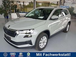 Grau Neu 2025 Skoda Karoq Selection SUV | 33.990 € (Guter Preis)