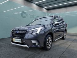 Grau Neu 2024 Subaru Forester Active SUV | 37.240 € (Fairer Preis)