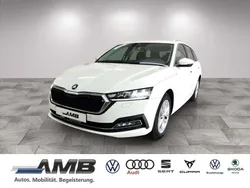 9p candyweiss Gebraucht 2023 Skoda Octavia Style Kombi | 24.220 € (Fairer Preis)