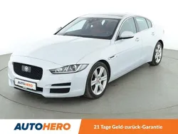 Weiß Gebraucht 2016 Jaguar XE Portfolio Limousine | 19.360 € (Etwas zu teuer)