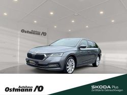 Grau Gebraucht 2022 Skoda Octavia Style Kombi | 24.489 € (Etwas zu teuer)