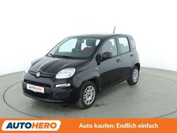 Schwarz Gebraucht 2020 Fiat Panda Easy Kleinwagen | 9.210 € (Fairer Preis)