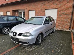 Grau Gebraucht 2003 Seat Ibiza Kleinwagen | 300 € (Superpreis)