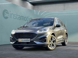 Grau Gebraucht 2023 Ford Kuga ST-Line SUV | 30.599 € (Teuer)