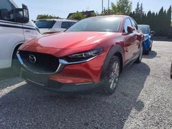 Rot Gebraucht 2021 Mazda CX-30 Selection SUV | 19.900 € (Guter Preis)