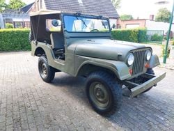 Grün Gebraucht 1969 Jeep Willys SUV | 16.800 €